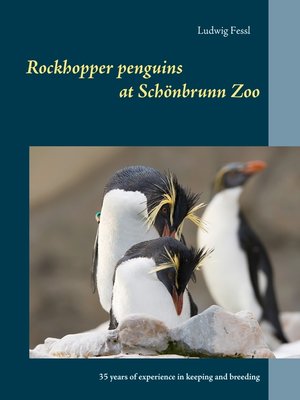 cover image of Rockhopper penguins at Schönbrunn Zoo